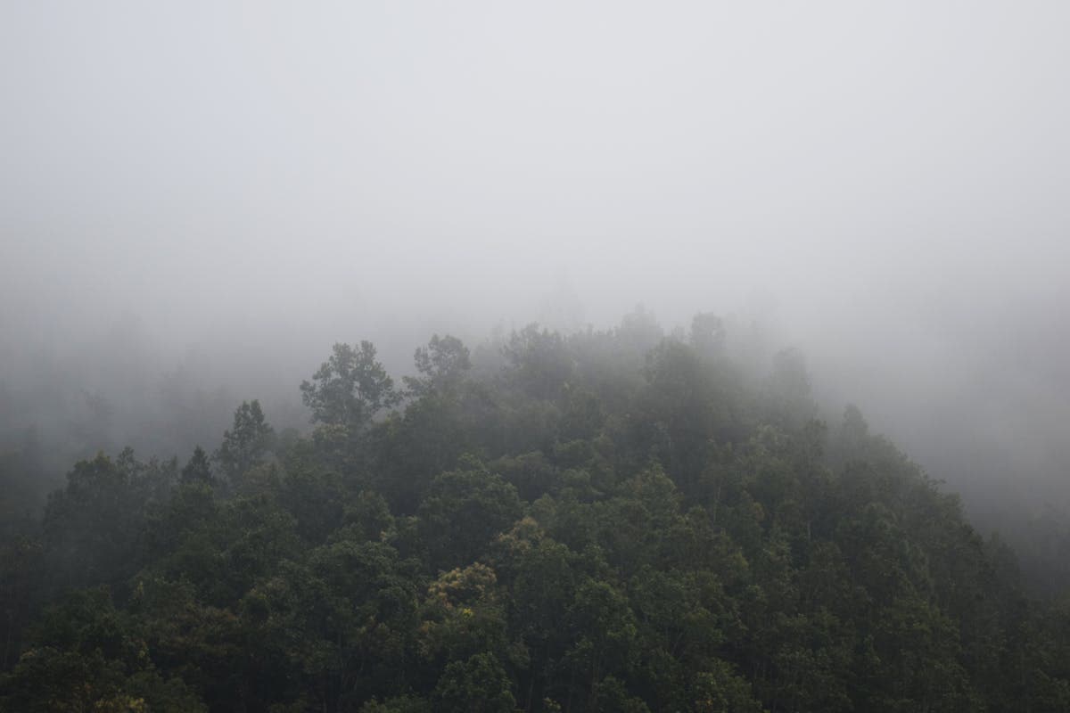 Blue Ridge mountain fog